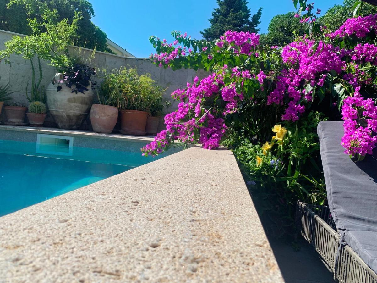 Luxury Pool Central Makarska Apartment By Maryn Extérieur photo