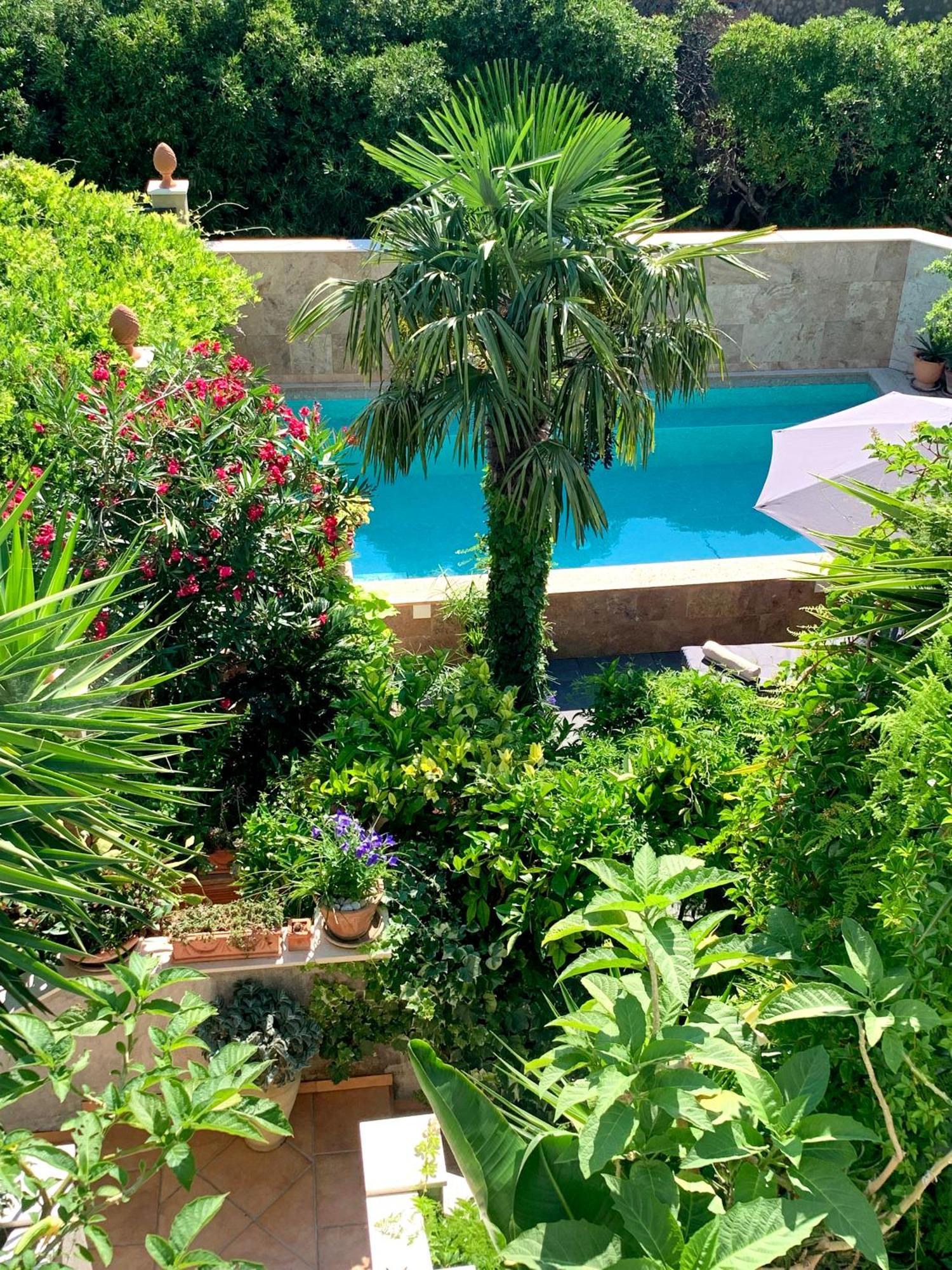 Luxury Pool Central Makarska Apartment By Maryn Extérieur photo